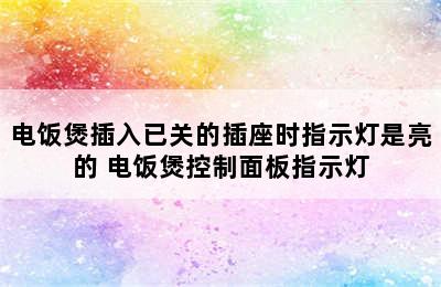 电饭煲插入已关的插座时指示灯是亮的 电饭煲控制面板指示灯